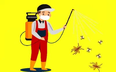 ارخص شركة مكافحة حشرات بالدمام والمنطقة الشرقية | شركة رؤية